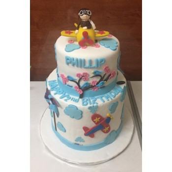 2 tier airplane cake